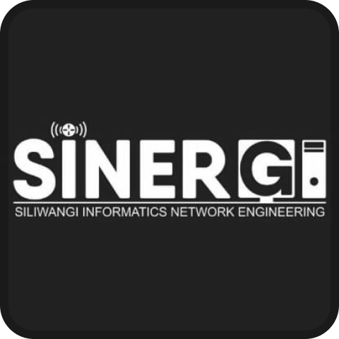 SInergi